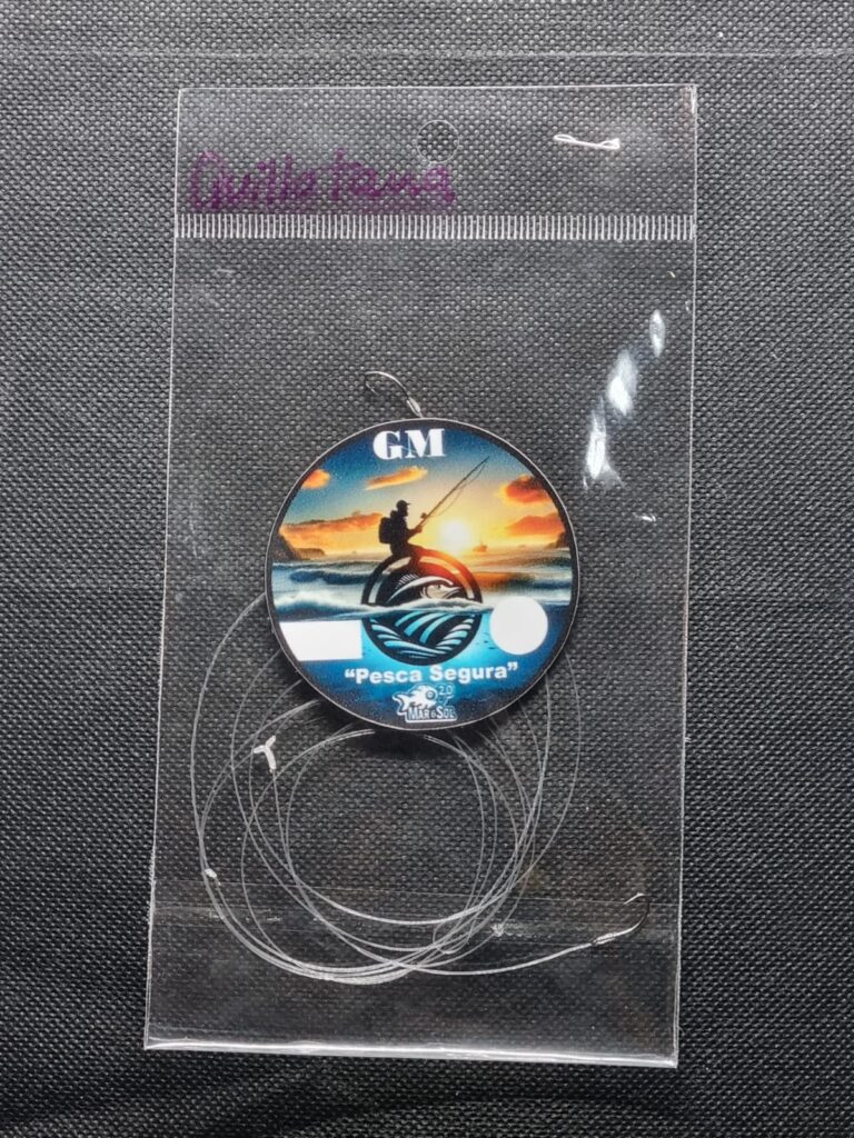 Armada GM Quillotana